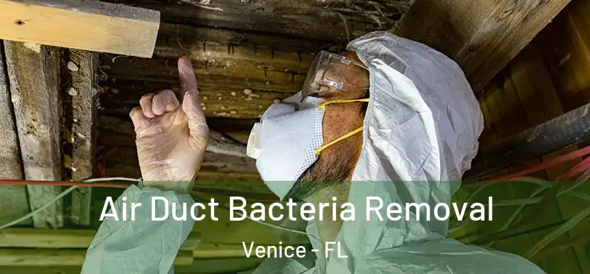  Air Duct Bacteria Removal Venice - FL