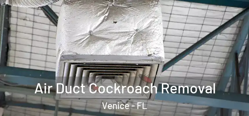  Air Duct Cockroach Removal Venice - FL