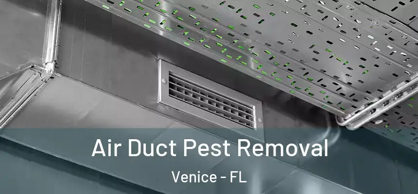  Air Duct Pest Removal Venice - FL