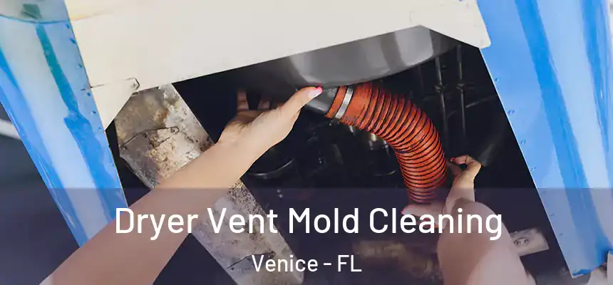  Dryer Vent Mold Cleaning Venice - FL