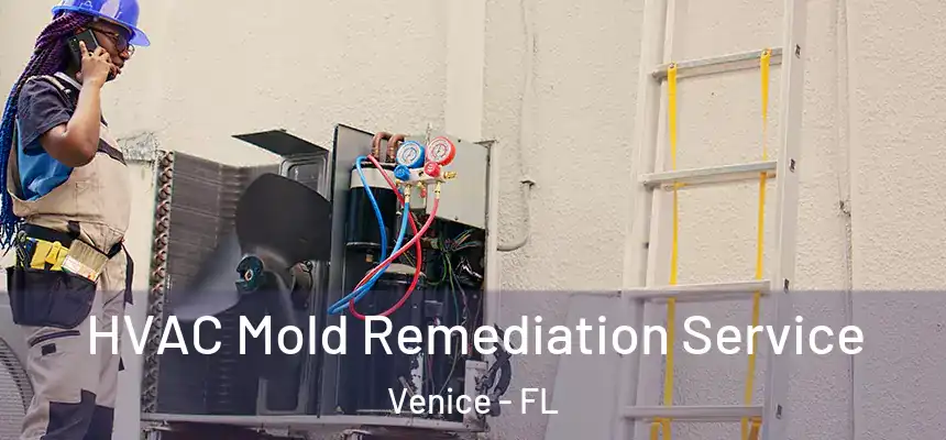  HVAC Mold Remediation Service Venice - FL