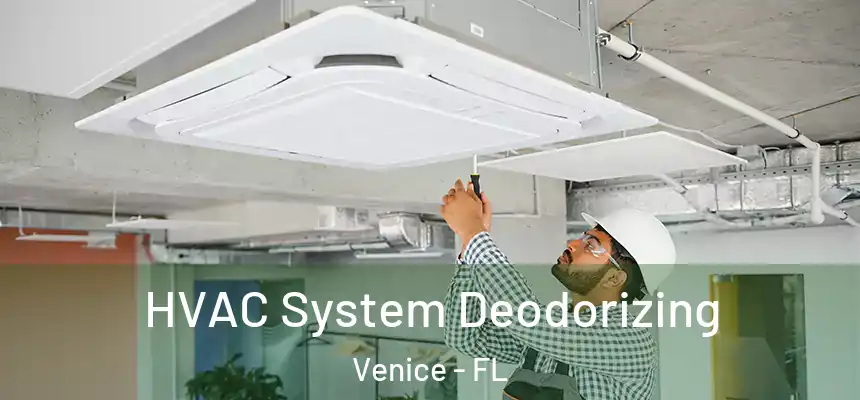  HVAC System Deodorizing Venice - FL