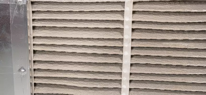 Mobile Car AC Filter Replacement in Venice