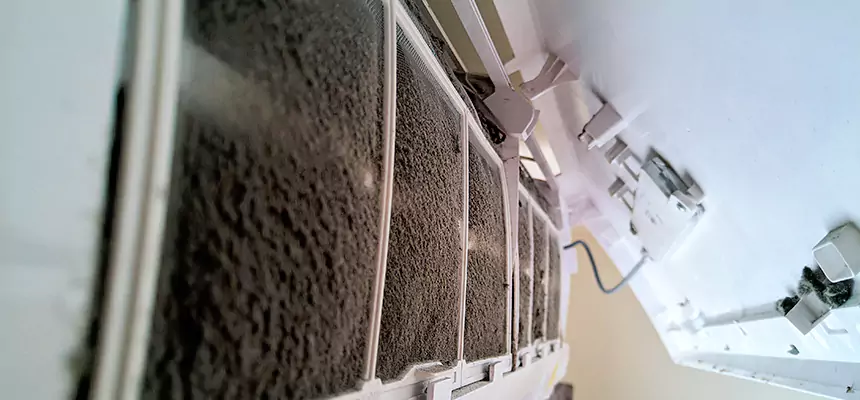 Preventive Air Duct Bacteria Removal in Venice