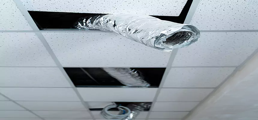 Our Air Duct Pet Hair Removal Services in Venice, FL