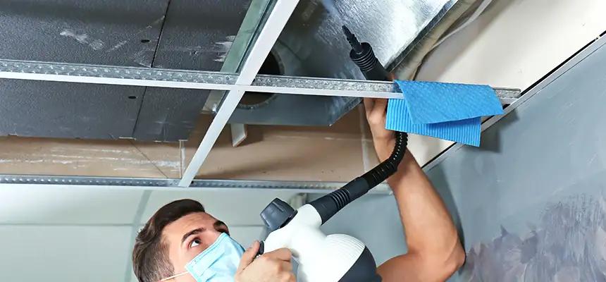Our Air Duct Rodent Removal Services in Venice, FL