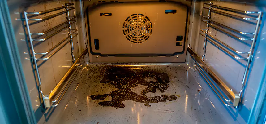 Our Dryer Vent Mold Cleaning Services in Venice, FL