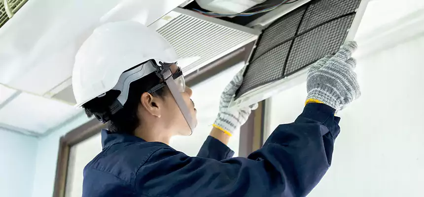 Our Mold & Mildew Removal from Air Ducts Services in Venice, FL