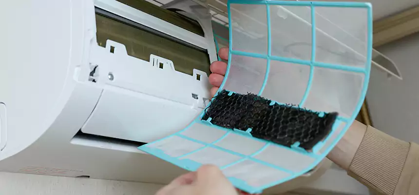 Gentle Ductwork Odor-Control Pet Dander Duct Cleaning in Venice, FL