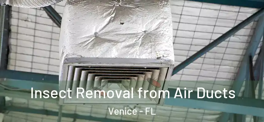 Insect Removal from Air Ducts Venice - FL