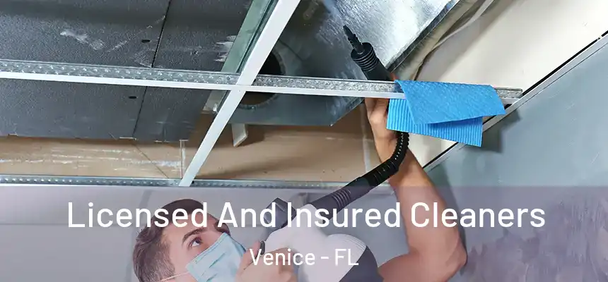 Licensed And Insured Cleaners Venice - FL