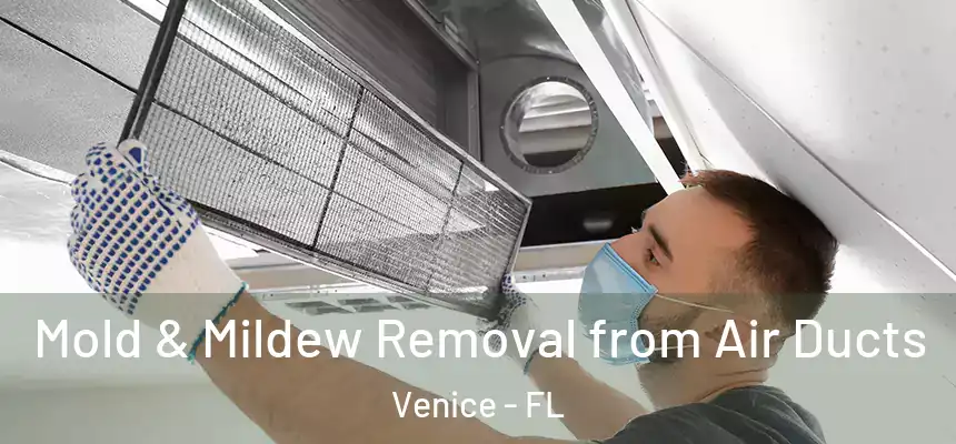 Mold & Mildew Removal from Air Ducts Venice - FL