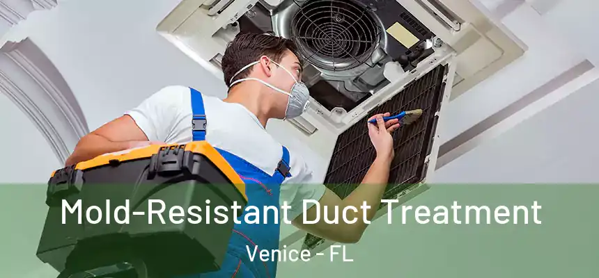  Mold-Resistant Duct Treatment Venice - FL