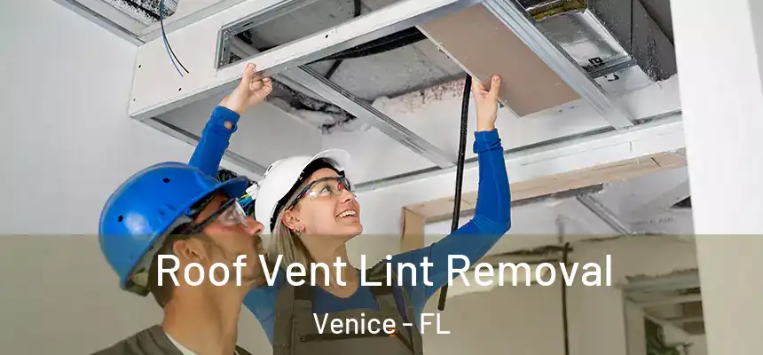 Roof Vent Lint Removal Venice - FL