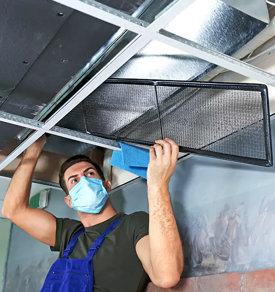 About Air Duct Bacteria Removal in Venice