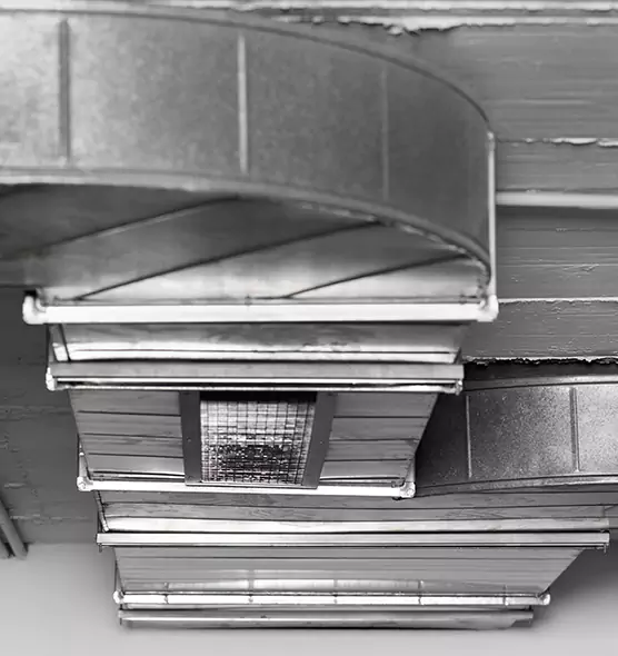 Professional Air Duct Pet Hair Removal in Venice, FL