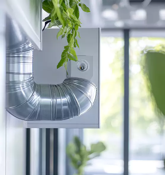 Professional Eco-Friendly Duct Cleaning Services in Venice, FL