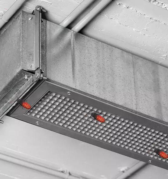 Affordable Insect Removal from Air Ducts in Venice, FL