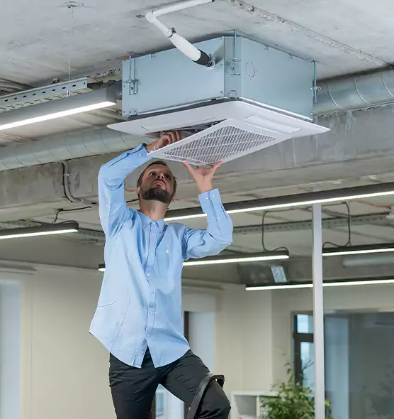 Advanced Rodent Droppings In Vents in Venice, FL