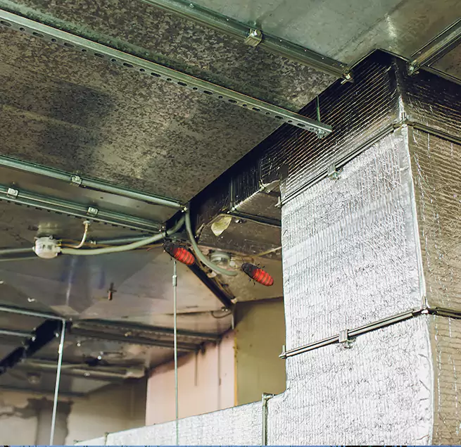 Why Homeowners & Businesses Trust Us in Venice, FL?