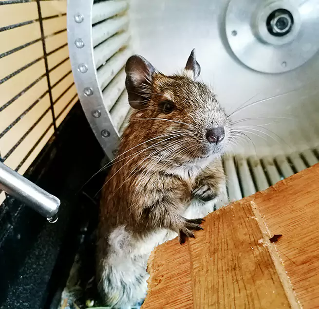 Why Homeowners & Businesses Trust Us Venice, FL