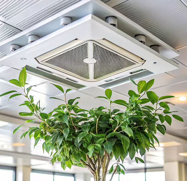 Why Homeowners & Businesses Trust Us in Venice, FL?