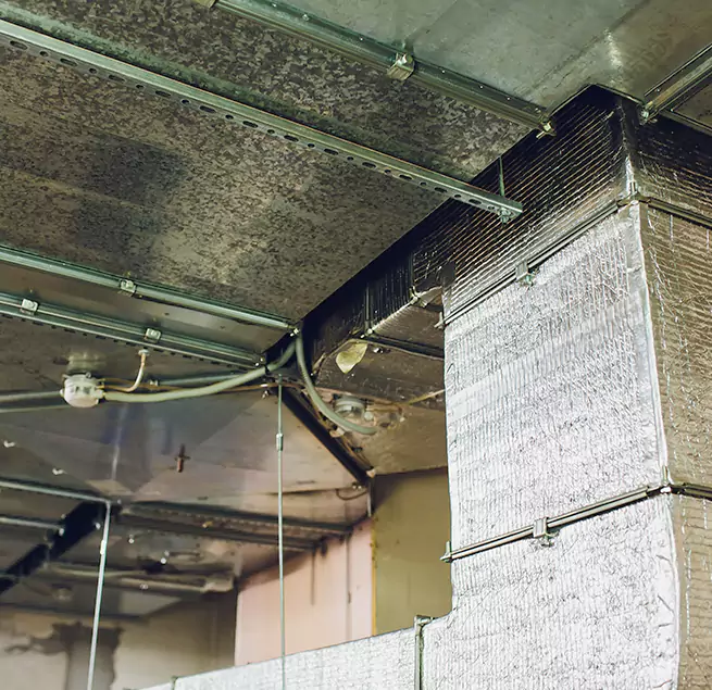 Why Homeowners & Businesses Trust Us in Venice, FL?